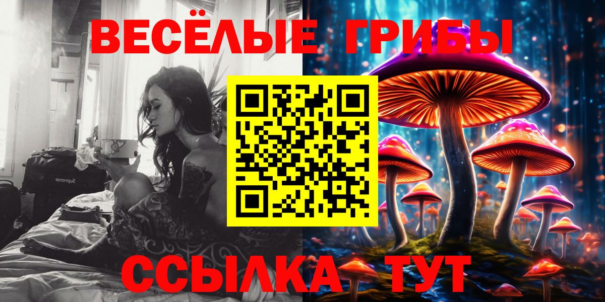 Псилоцибиновые грибы Psilocybine cubensis  Псилоцибиновые грибы Cubensis  Гулькевичи  Вход с VPN 